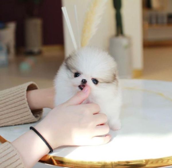 Soonja