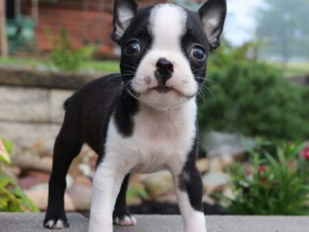 Gunther
